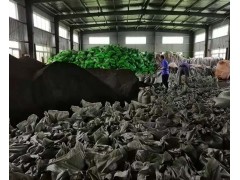南京绿化 营养土厚度欢迎来电 安徽春分疏松透气